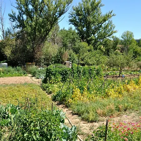 Hotel Langa Cerezo de Abajo