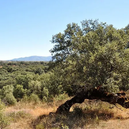 Langa 3* Cerezo de Abajo