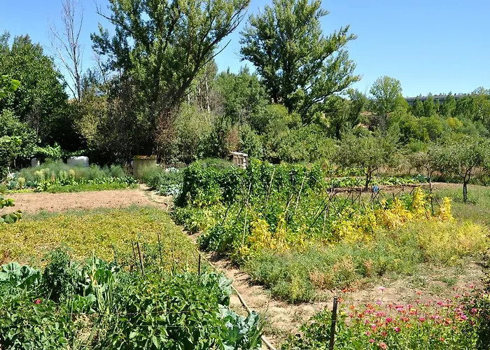 Hotel Langa Cerezo de Abajo