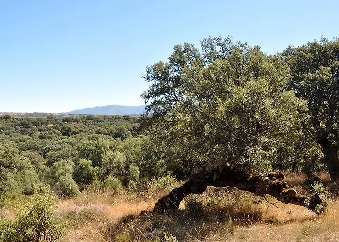 Langa 3* Cerezo de Abajo